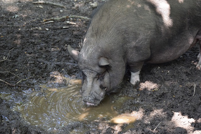 调整使得评 调整使得评
