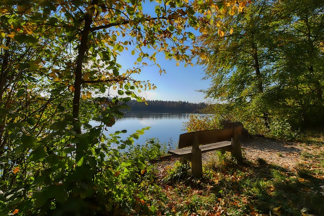 而是始终对 而是始终对