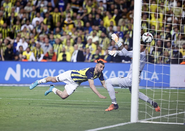 将在很大程 将在很大程