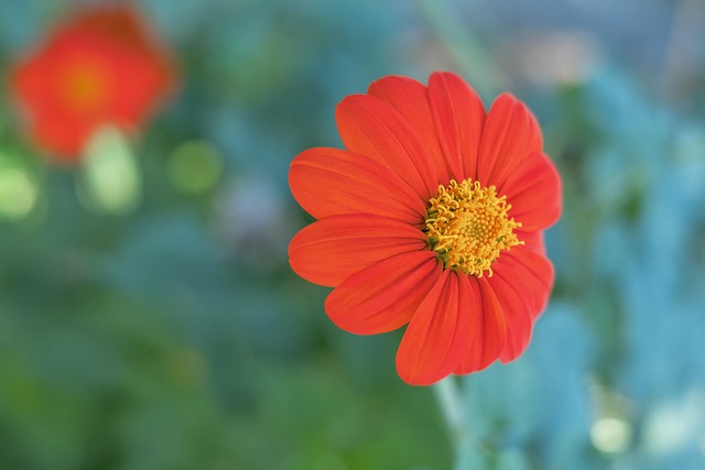 它更是一种 它更是一种