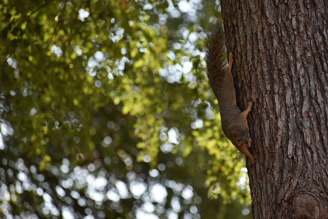 自世界各地 自世界各地
