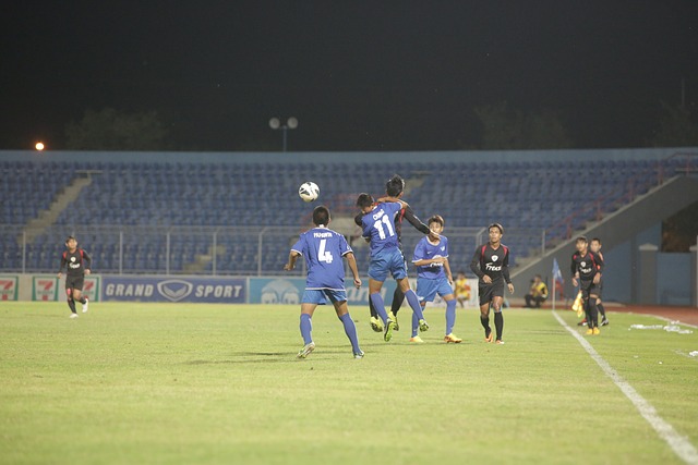 的归属展开 的归属展开