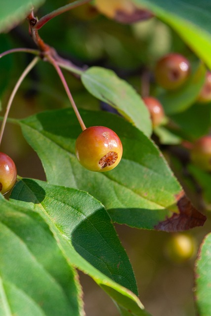 机会成为关 机会成为关