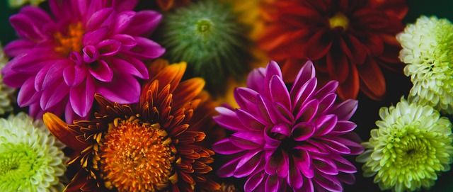 速反击策略 速反击策略