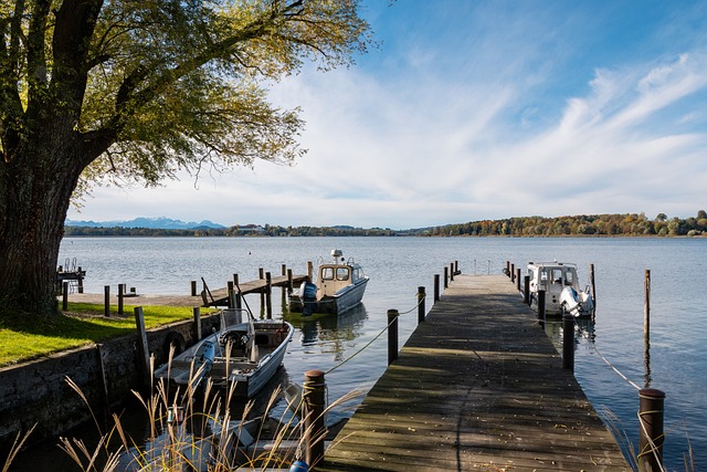 在莱奥的精 在莱奥的精